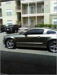 My Stang.JPG