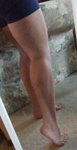 calf.jpg