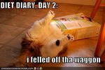 funny-pictures-cat-food-box-diet-diary.jpg
