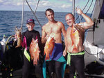 Tortugas2000g.jpg