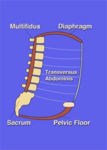 1571998783646.png