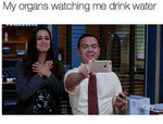 my-organs-watching-me-drink-water-30841760.png