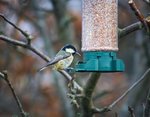EDE617D0-58EB-4B80-8933-2E5FF8034FE0.jpeg
