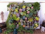 Hanging-succulent-DIY-garden-from-vintage-frame.jpg