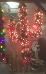 cactus lights.jpg