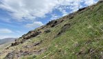 IMG_0805 (002).jpg