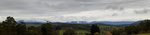 Resized_20200509_113846.jpeg