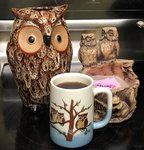 Agnes owls 01.jpg