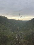 61A090EA-0A08-4466-A195-9B6A5BE07AC9.jpeg