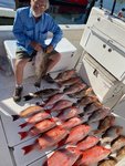 IMG_1155.JPG