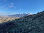 view.jpg