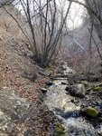 IMG_0394s.jpg