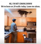 1585173448884.png