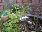 DSCN6879.JPG