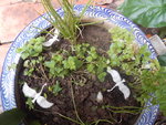 DSCN6881.JPG