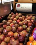 pluots for sale.jpg