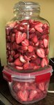 strawberry snackin.jpg