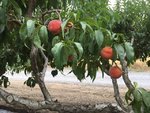 IMG_0358.JPG