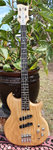 Chowny SWB Bass.jpg