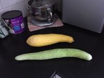 harvest.JPG