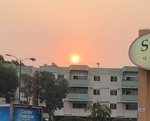IMG_1617.jpg