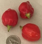 habenaro peppers.jpg
