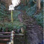 MWSnap539 2020-12-20, 18_54_04.jpg