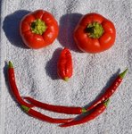 silly peppers.jpg