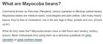 mayocoba beans 02.jpg