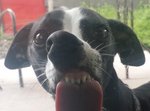 20150806_124132.jpg 20150806_124132.jpg