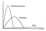 Chart Blood Glucose Fat Protein Carbohydrate.jpg