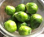 Brussels sprouts.jpg Brussels sprouts.jpg