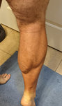 Calves.jpg