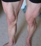 legs500.JPG