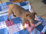 Chloe002.jpg