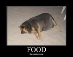 Fat Dog.jpg