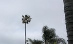 June gloom.jpg