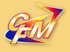 cfm_logo[1].jpg