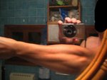 antebrazo.jpg