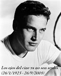 paul-newman-photograph-c12142732.jpg