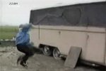 gif-humor-16[1].jpg