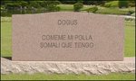 DOGUS.jpg