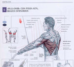 pullover espalda polea alta .jpg