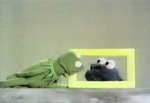 Tv_sesame_street_kermit_peeks_down_at_cookie_monster.jpg