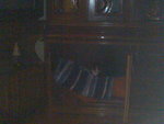 Imagen015.jpg