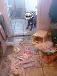 imagesCAT2G42K.jpg