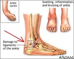 ankle.jpg