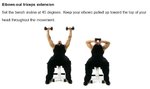 Elbows-out triceps extension.JPG