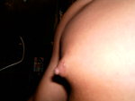 gcm 004.jpg