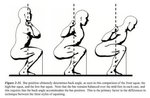 low+back+squat.jpg